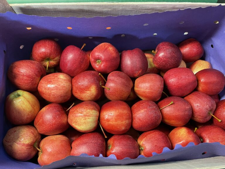 Przygotowane jabłka w kartonie